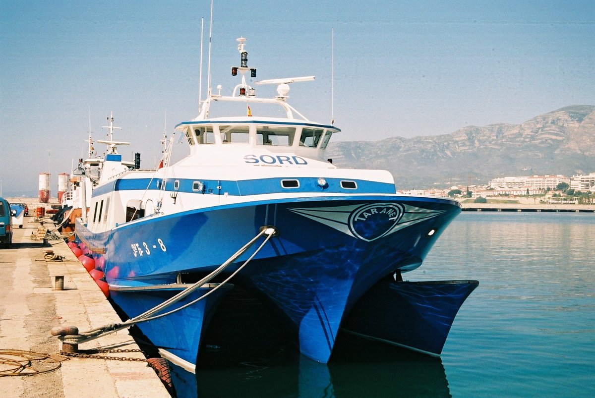 Imagen de Capitol 11 - 2020